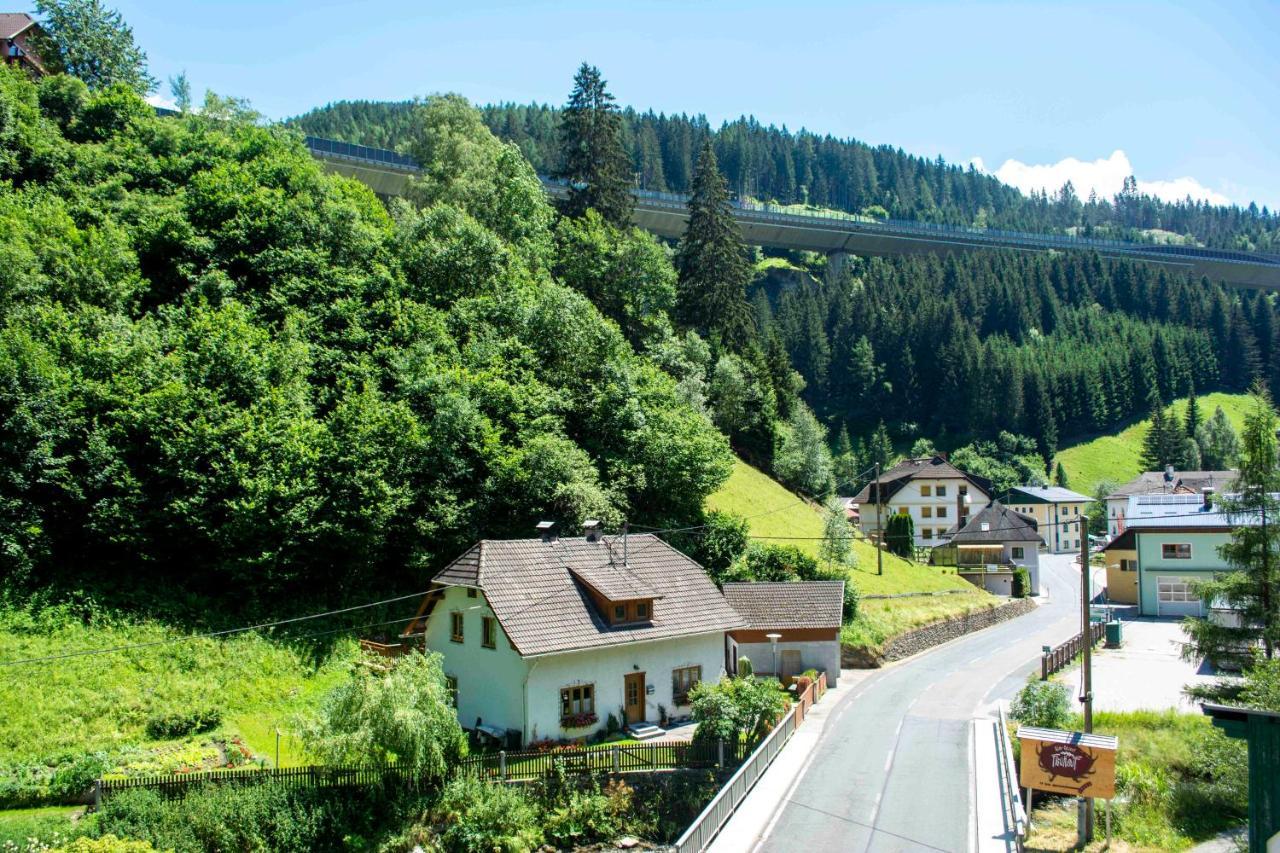 Haus Kremsbruecke *
